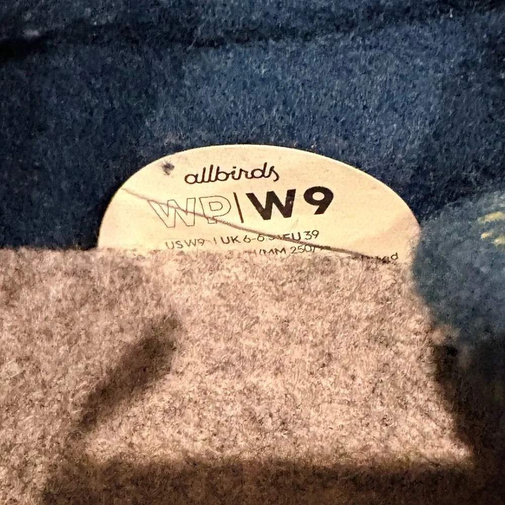 Allbirds Wool Piper sneaker in a garden blue 9